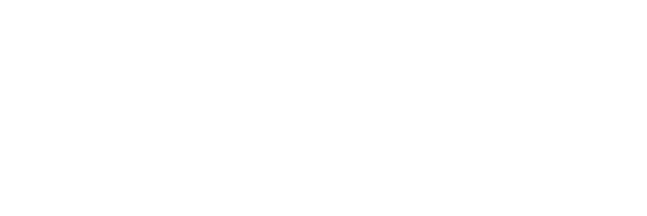 Cars & Plates